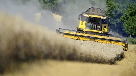 Náhledový obrázek - Úroda je nižší, katastrofa se však nekoná