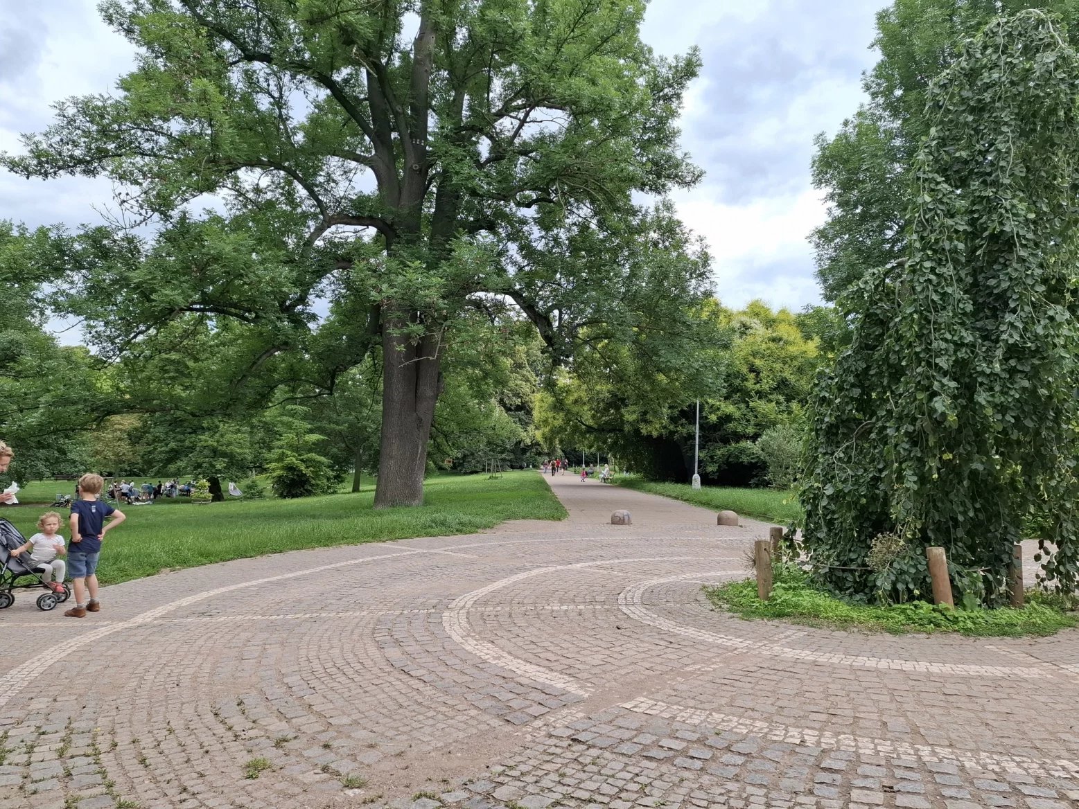 Hlavní 50Mpx fotoaparát