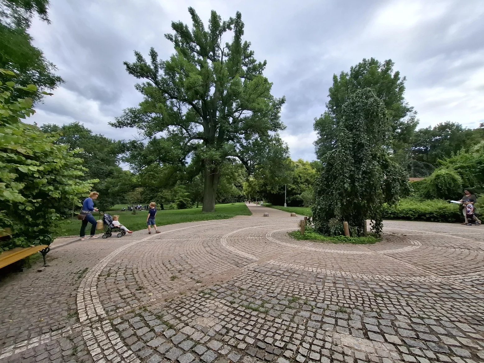 Ultraširokoúhlý 12Mpx fotoaparát