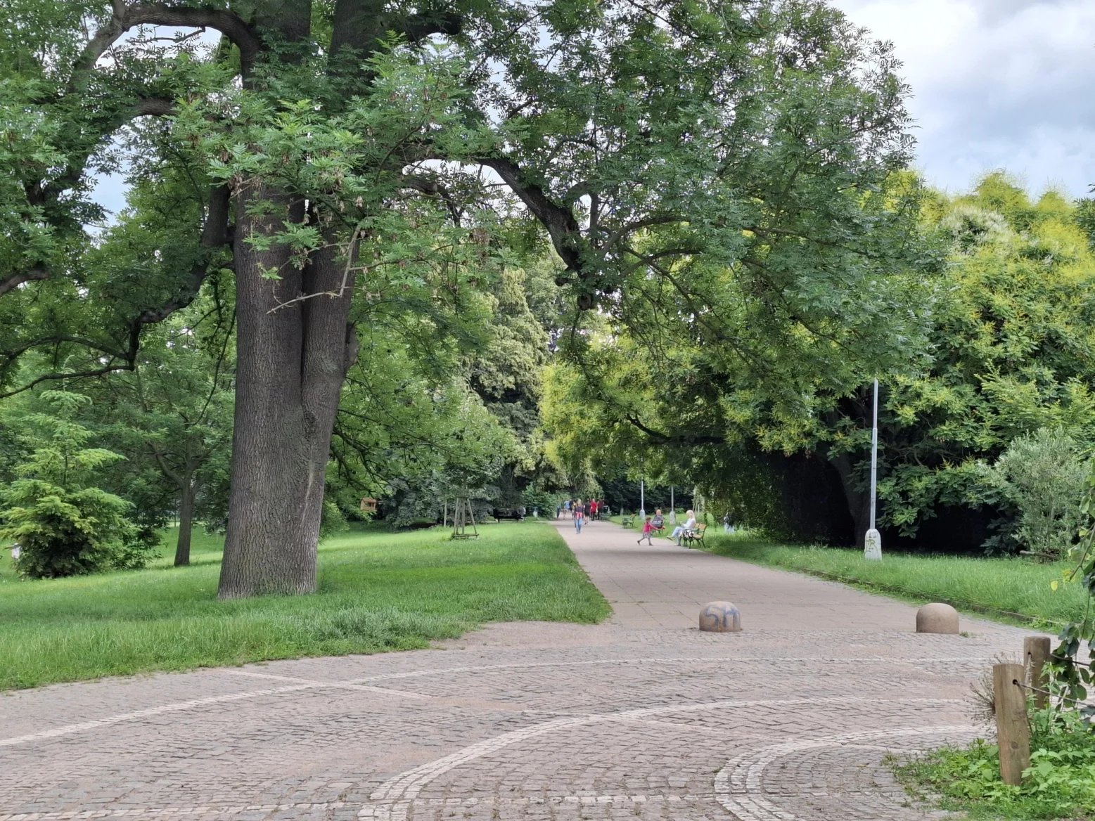 2násobný digitální zoom