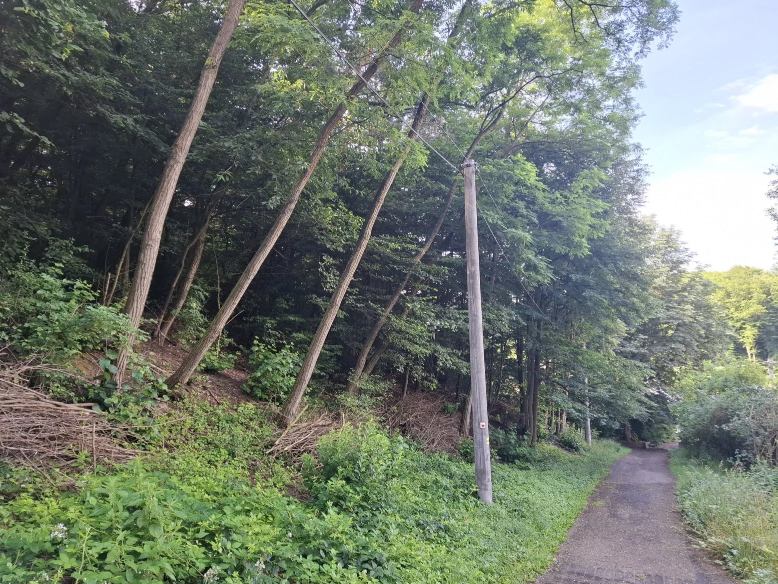 Hlavní 50Mpx fotoaparát