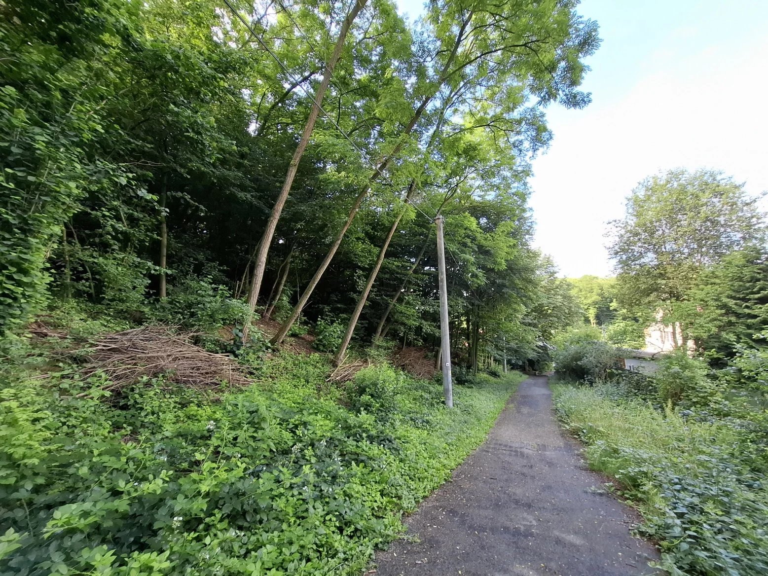 Ultraširokoúhlý 12Mpx fotoaparát