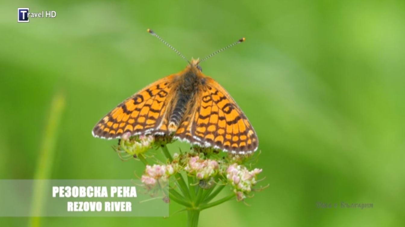 Nové hvězdy na satelitním nebi 22. až 24. června