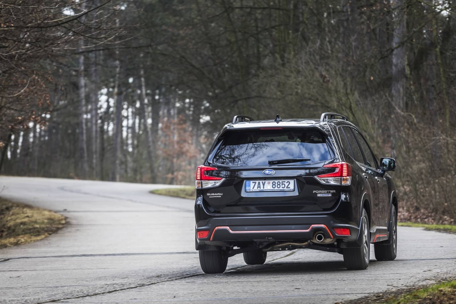 2020-04-aDMB2020_Forester-e-boxer-A7-6654.jpg