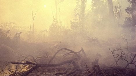 Náhledový obrázek - Za 50 let stoupl počet zákonů o životním prostředí 38krát. Výsledek není vidět