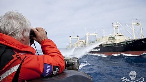 Náhledový obrázek - Ochránce velryb Sea Shepherd se stahuje do ústraní. Bojí se japonské armády