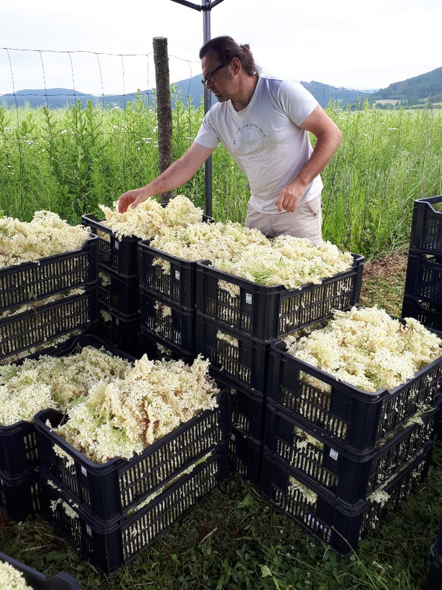 Rodinná Farma Křížov pod Blaníkem