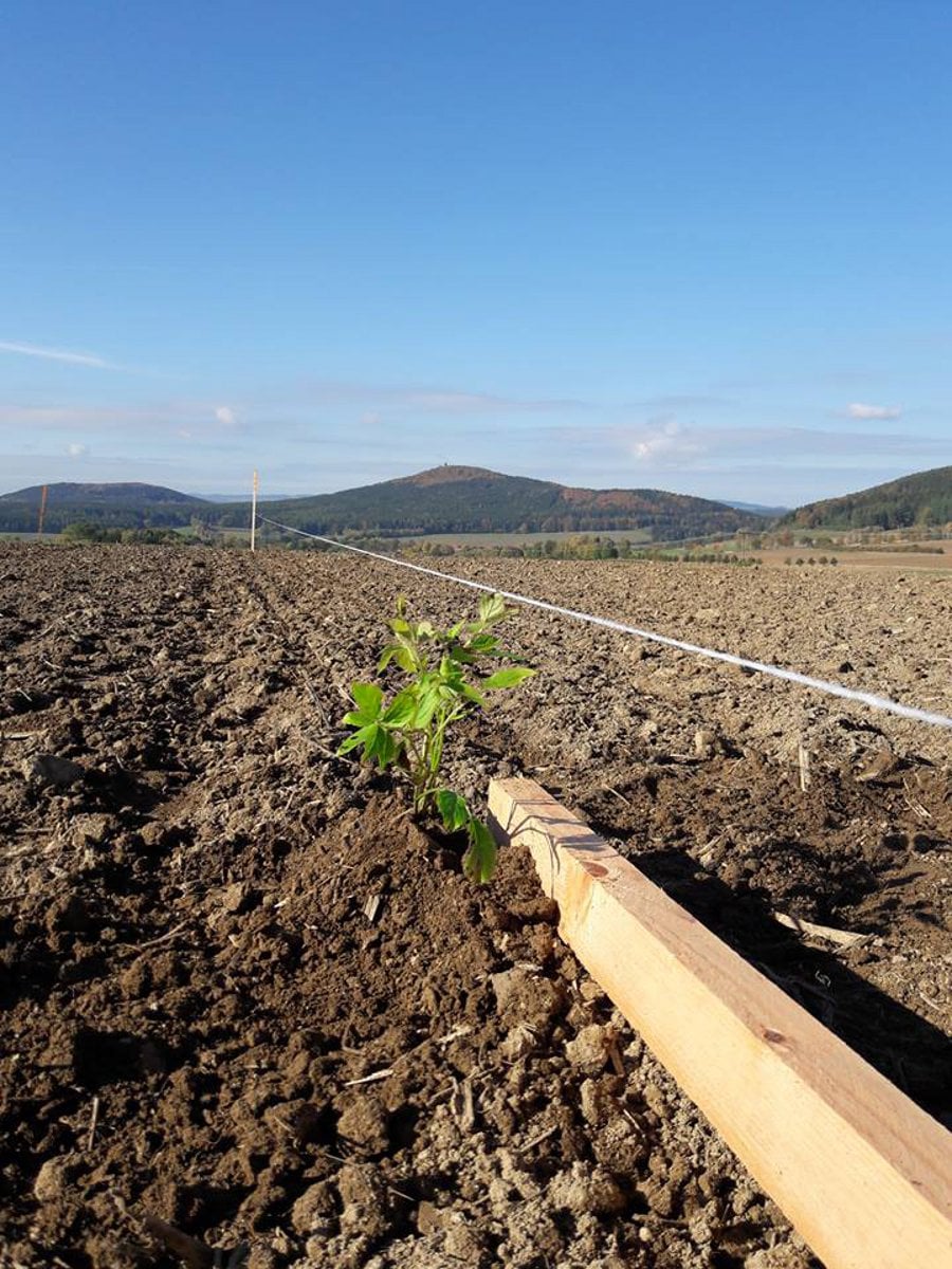 Rodinná Farma Křížov pod Blaníkem