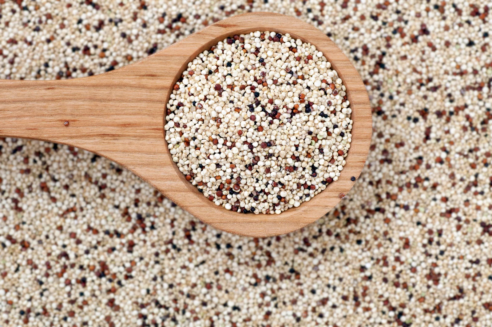 Quinoa: potravina plná bílkovin?