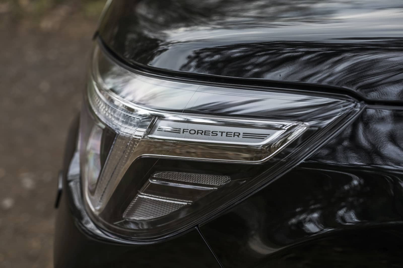 2020-04-aDMB2020_Forester-e-boxer-A7-6552.jpg