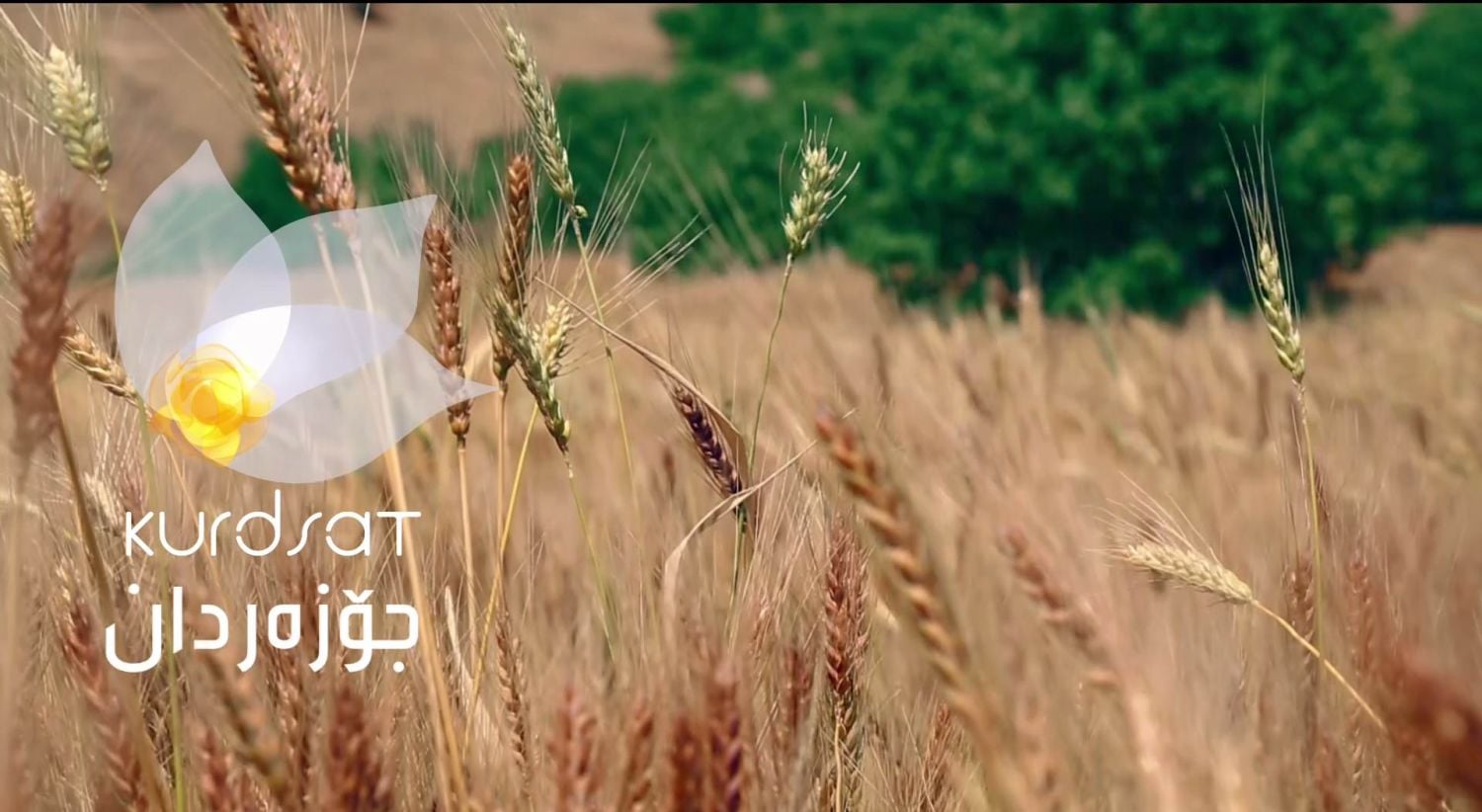 Novinky v satelitním vysílání od 30. do 31