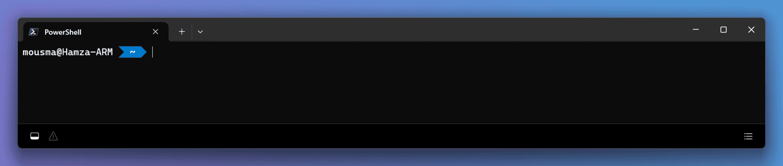 Microsoft Intelligent Terminal