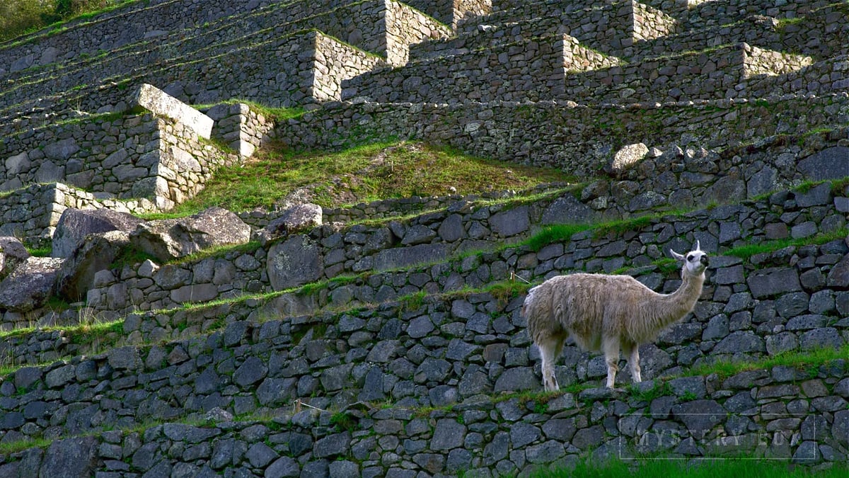 Zidoo H6 Pro - přehrávání videa 8K