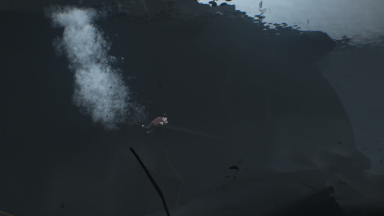 Nintendo Switch: Inside