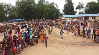 Náhledový obrázek - Nigérie: Zdravotnická katastrofa ve státě Borno