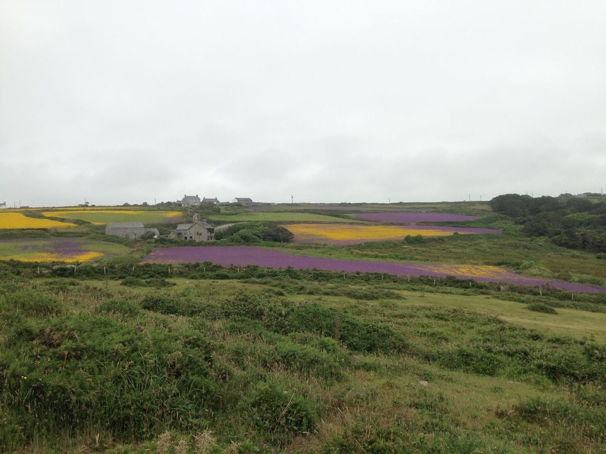 Speciality z konce světa: Cornwall