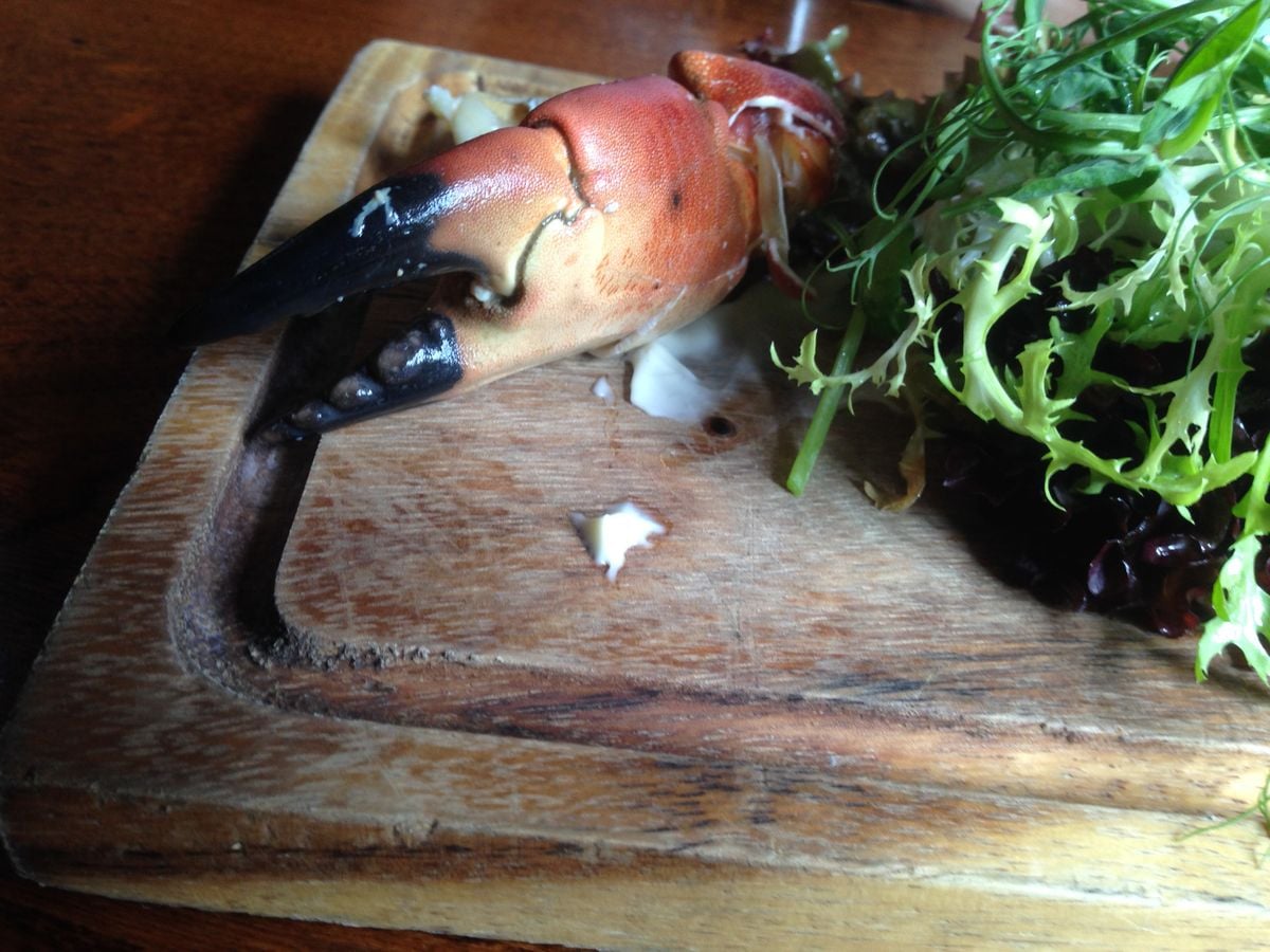 Speciality z konce světa: Cornwall