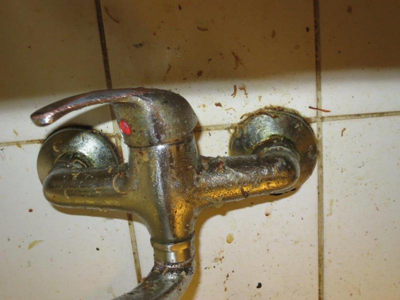 Restaurace Kalich, Praha 1