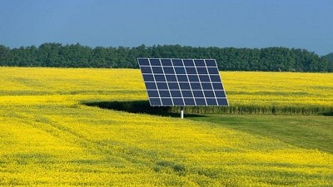 Náhledový obrázek - Esej: Rána řepce na solar