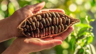 Ilustrační obrázek