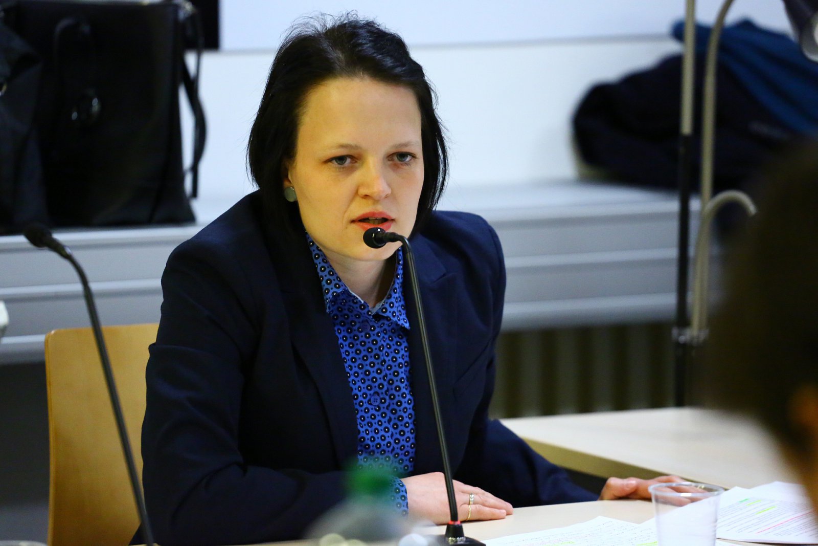 Prozatímním šéfem Českého rozhlasu zvolen Karel Zýka