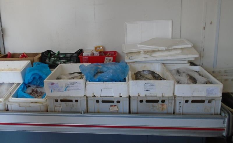 Výrobna HAI XIAN CHENG, Praha 10: Produkty rybolovu - chlazené - maso vykazovalo smyslové odchylky - nežádoucí zápach po zkaženém mase a chyběly známky čerstvosti. 
Na místě nebyly k dispozici doklady o původu zboží.