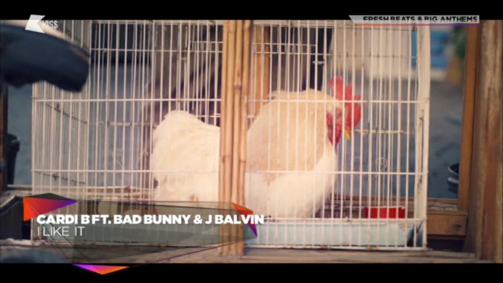 Nové satelitní FTA kanály 48. týden roku 2018