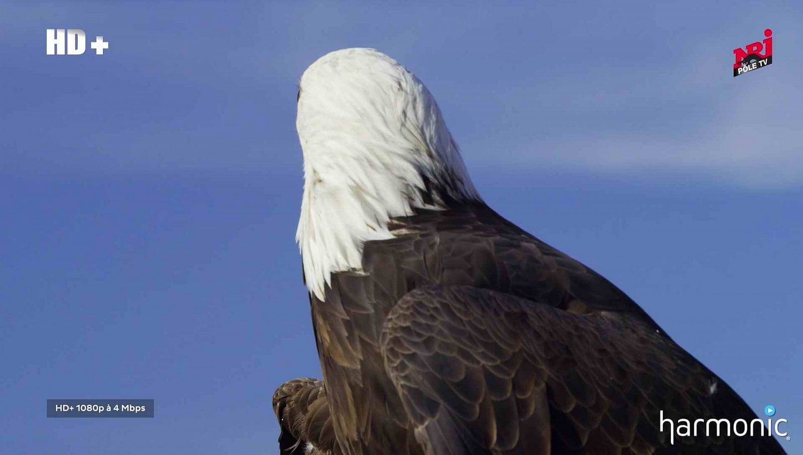Nové satelitní FTA kanály 48. týden roku 2018