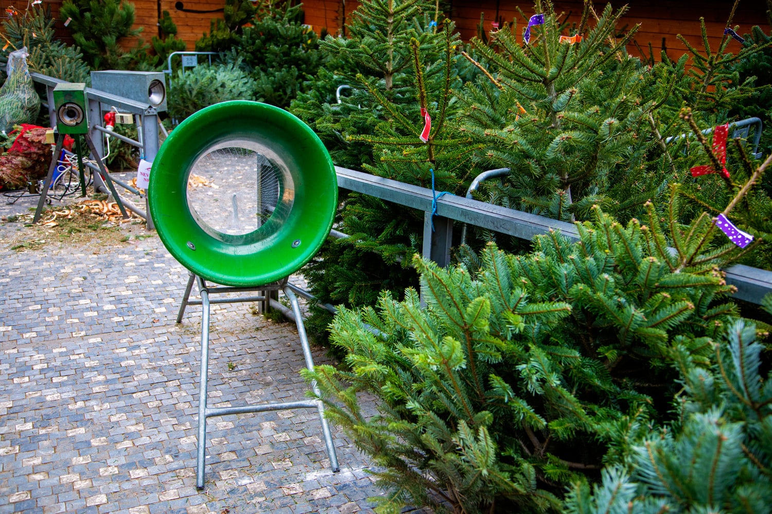 Prodej vánočních stromků 2019