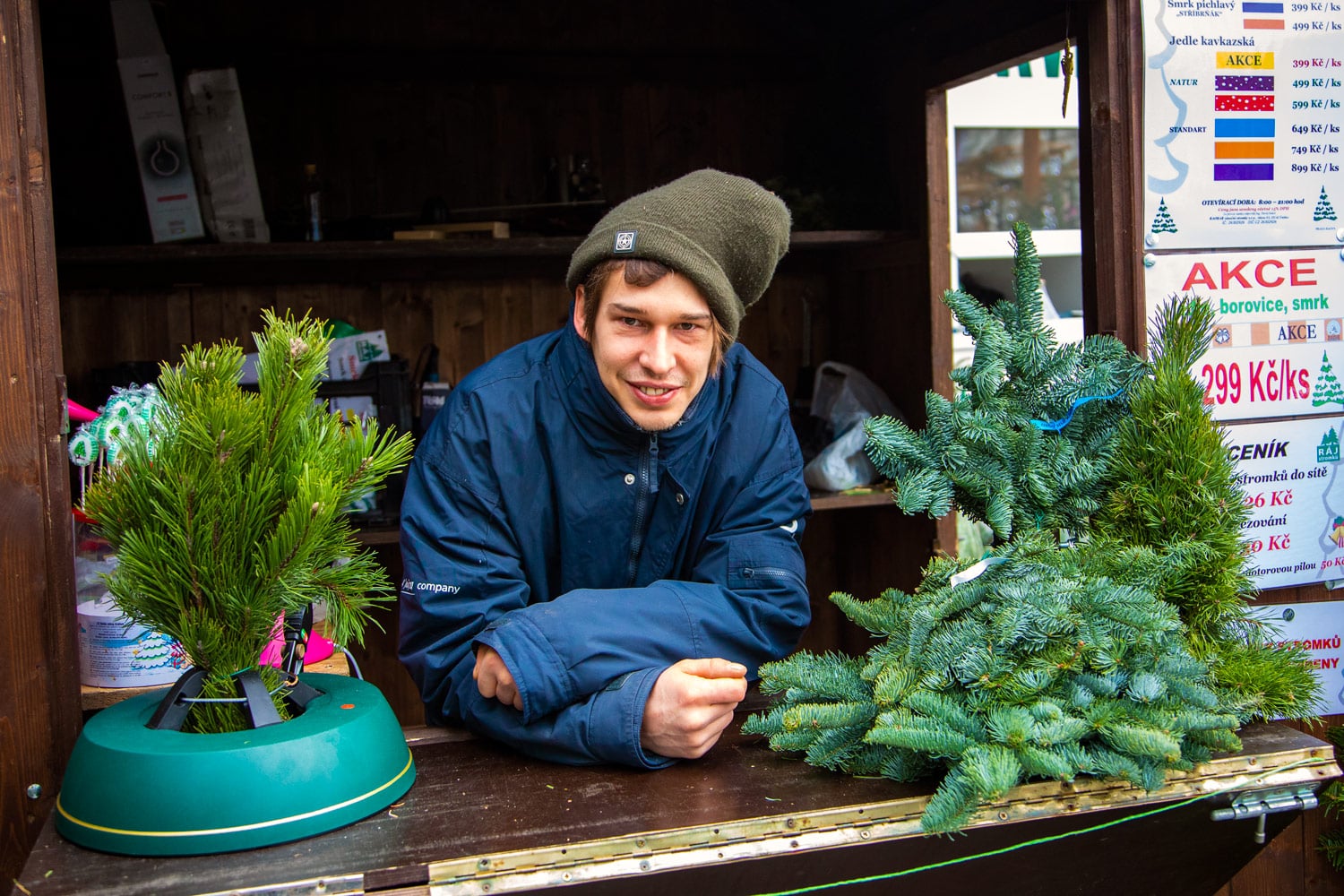 Prodej vánočních stromků 2019