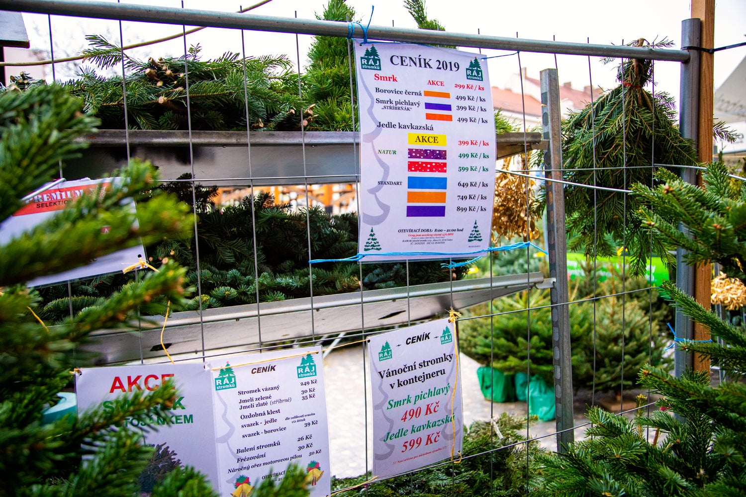 Prodej vánočních stromků 2019