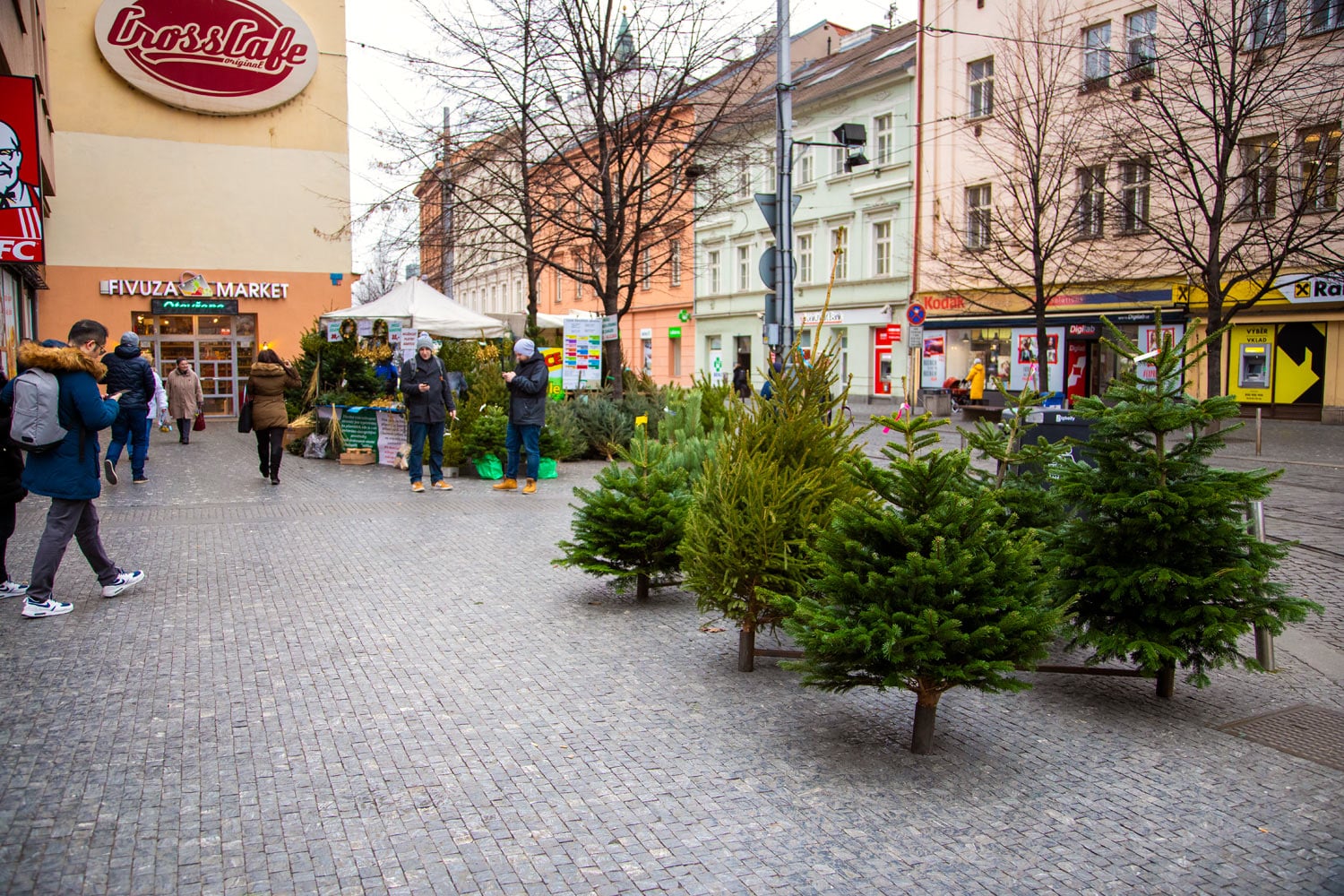 Prodej vánočních stromků 2019
