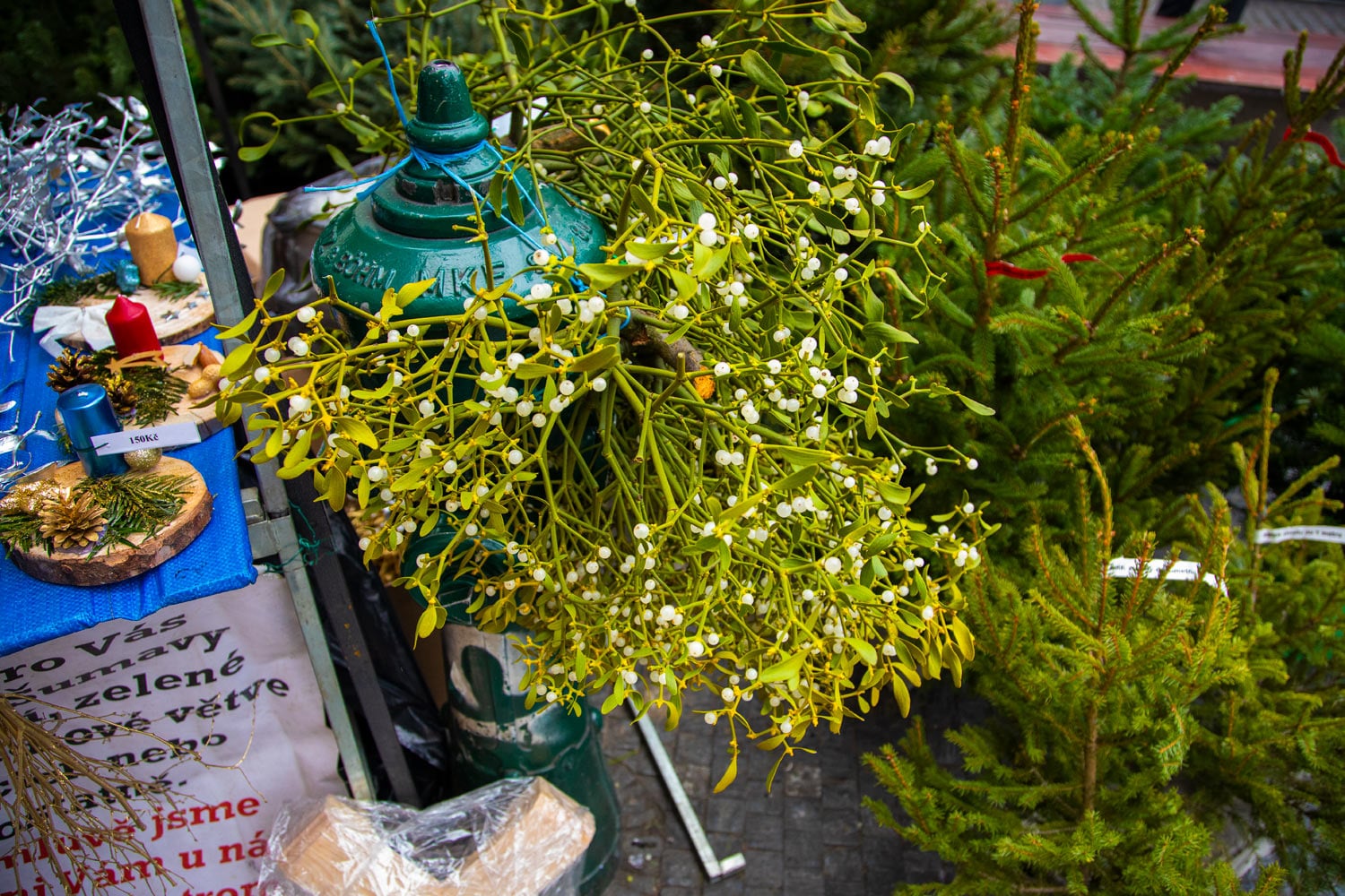 Prodej vánočních stromků 2019