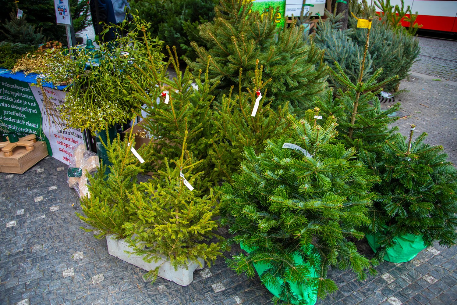 Prodej vánočních stromků 2019