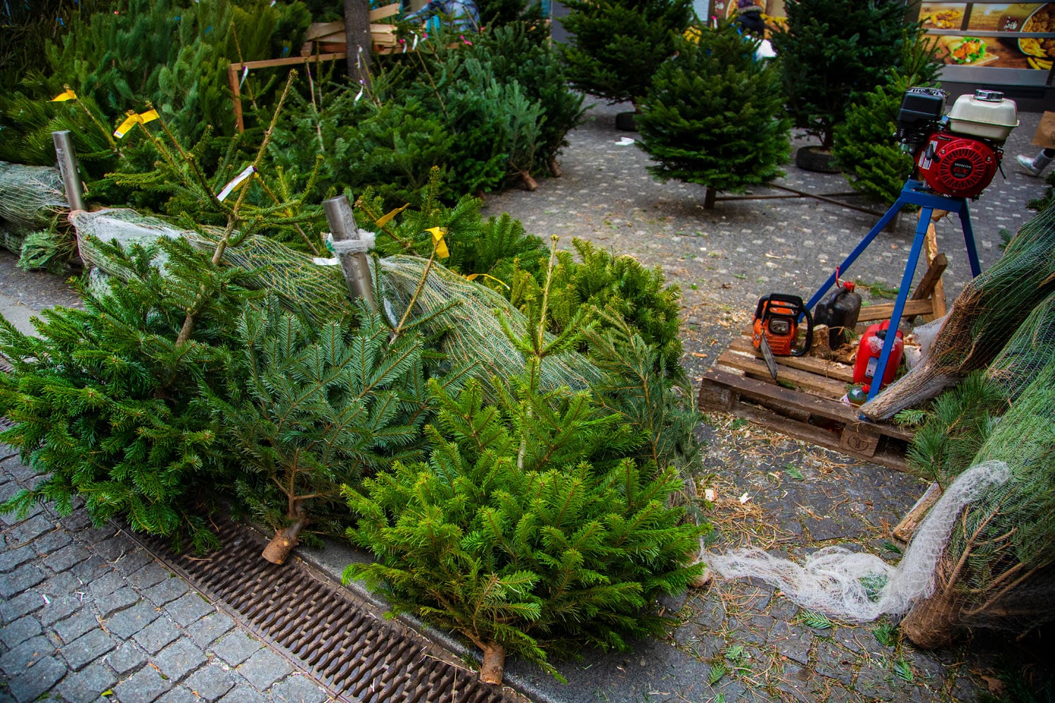 Prodej vánočních stromků 2019