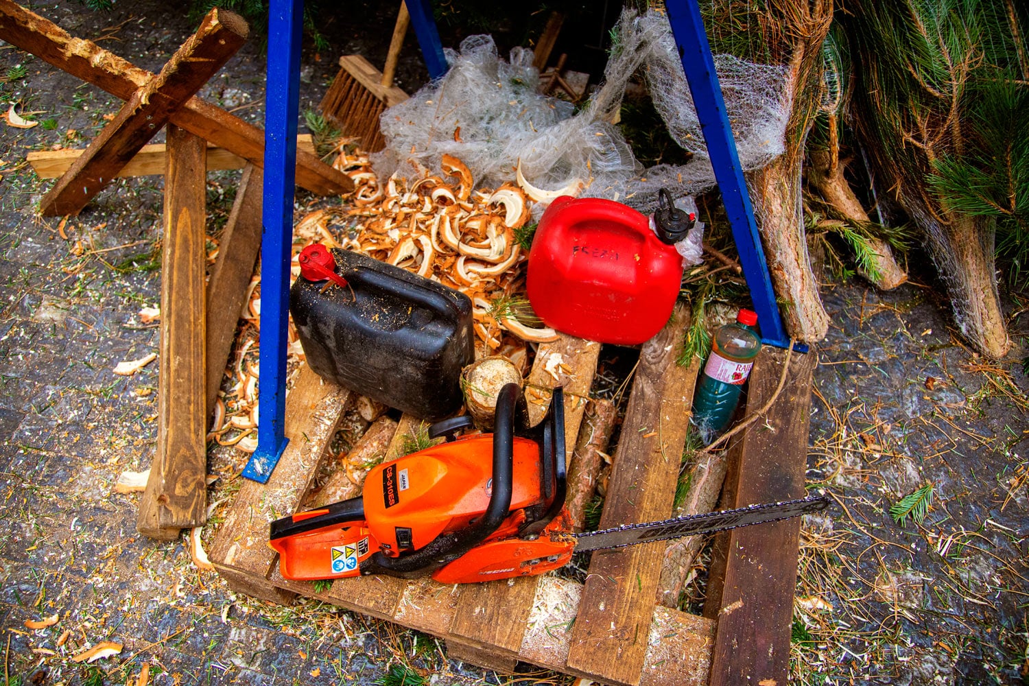 Prodej vánočních stromků 2019