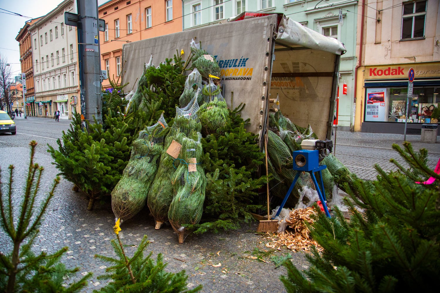 Prodej vánočních stromků 2019