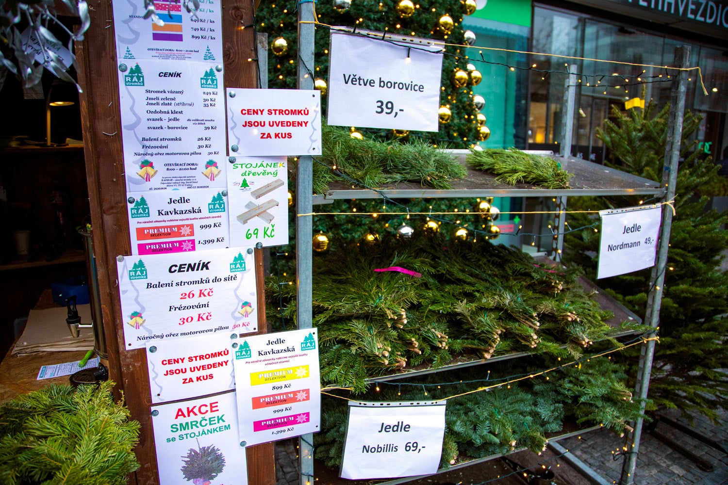 Prodej vánočních stromků 2019