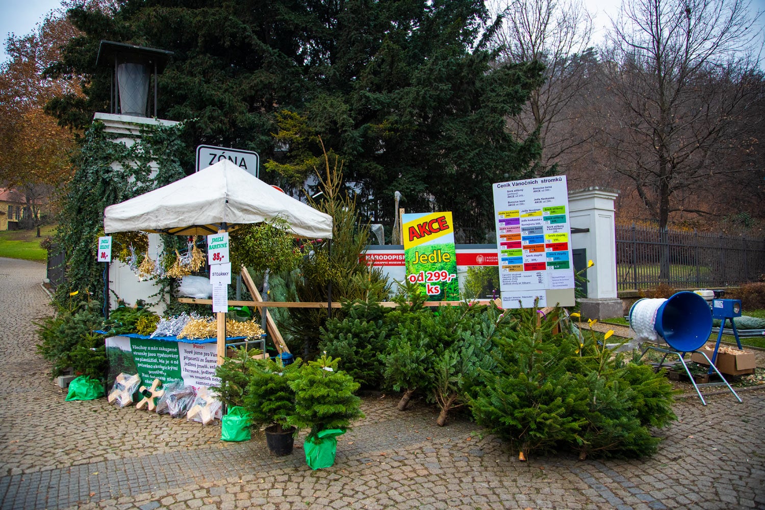 Prodej vánočních stromků 2019