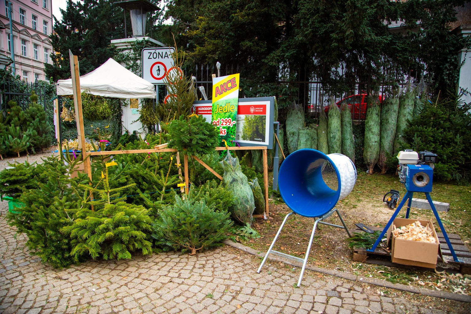 Prodej vánočních stromků 2019
