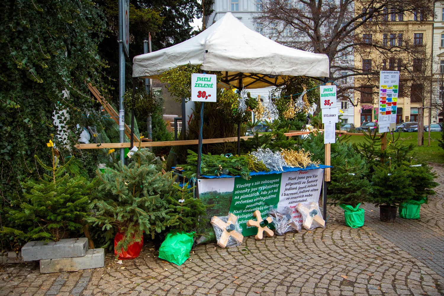 Prodej vánočních stromků 2019