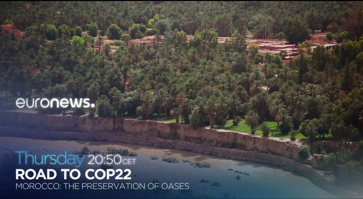 Nové hvězdy na satelitním nebi 1. až 3. listopadu