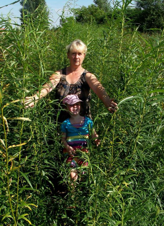 Košíkářka se nezastaví. Co v týdnu vyrobí, to o víkendu prodá.