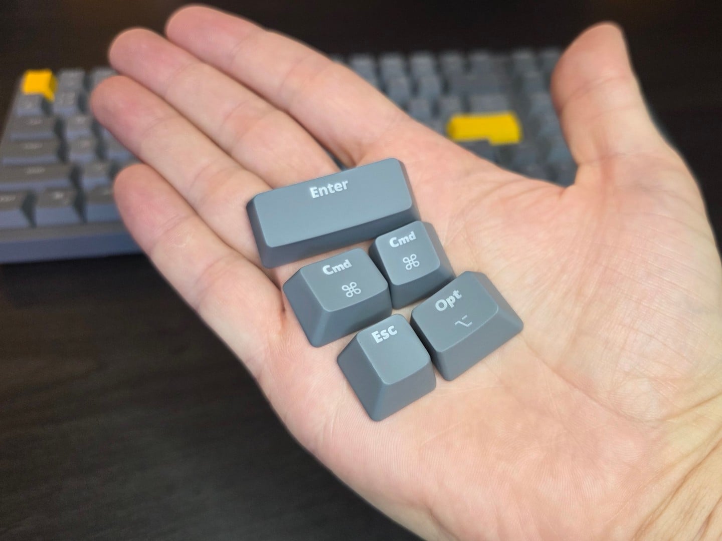 Endorfy Celeris 1800