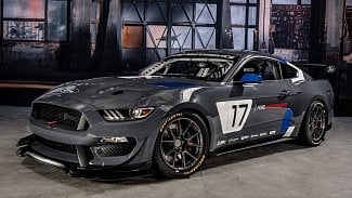 Náhledový obrázek - Divize Ford Performance představila na SEMA 2016 nový závodní Mustang GT4