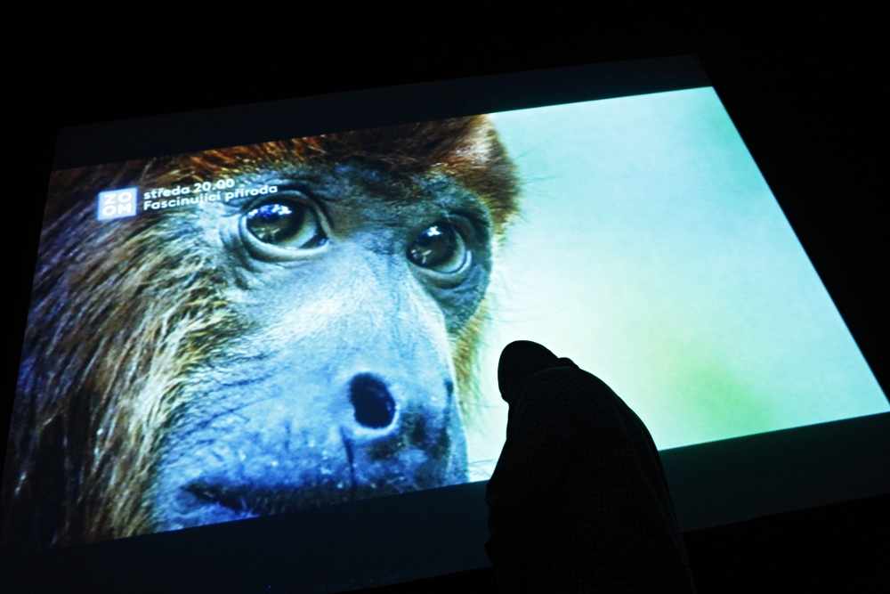 Jak FTV Prima představovala svůj čtvrtý program Prima Zoom