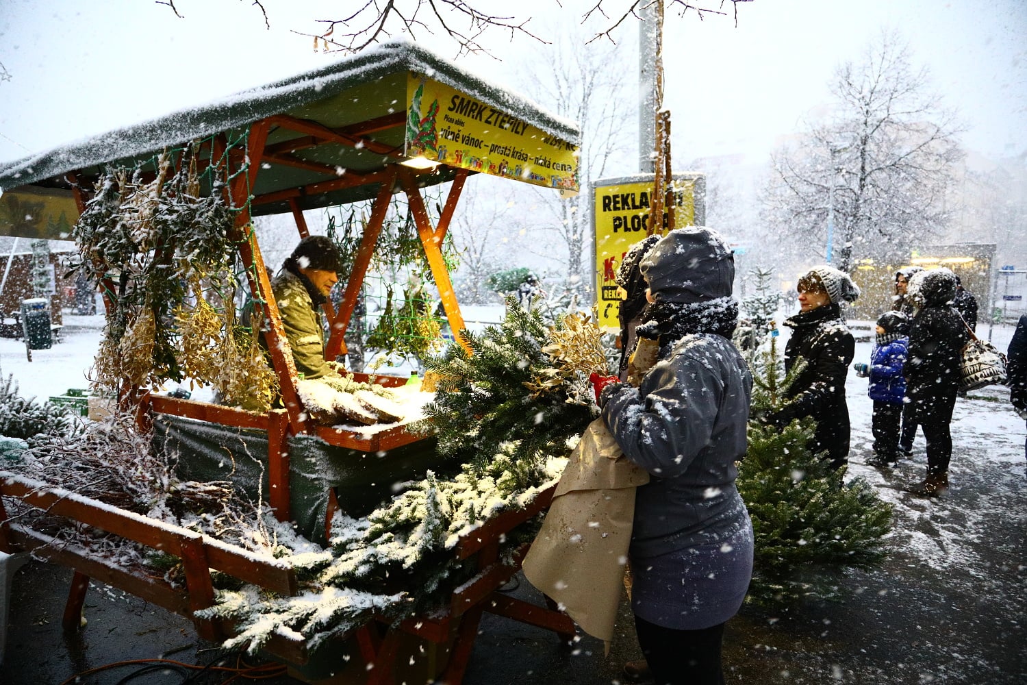 Prodej vánočních stromů 2017