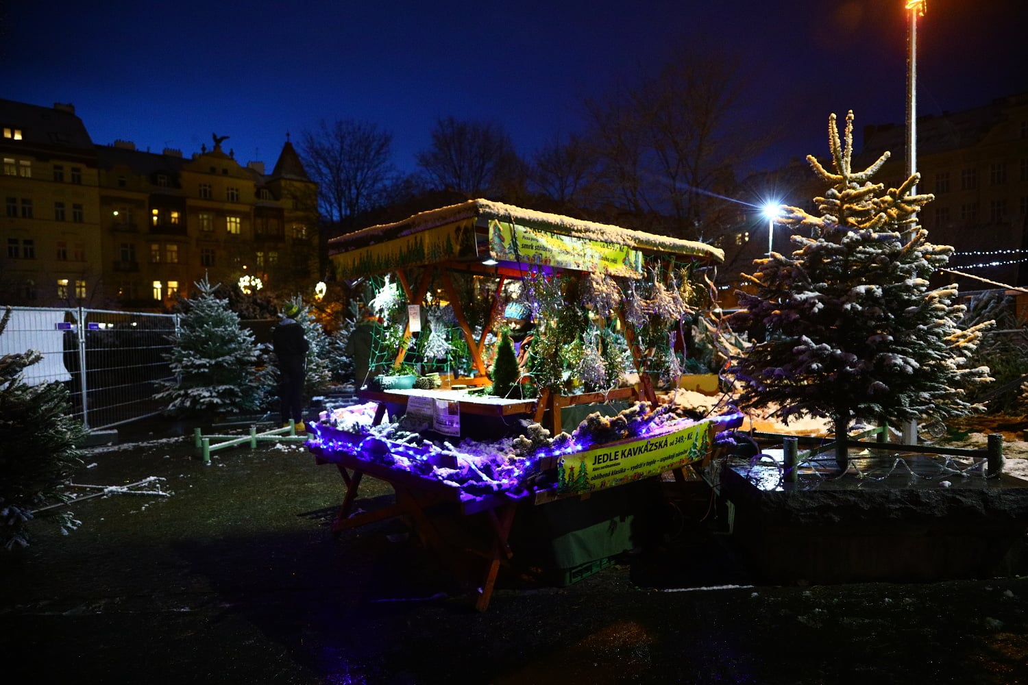 Prodej vánočních stromů 2017