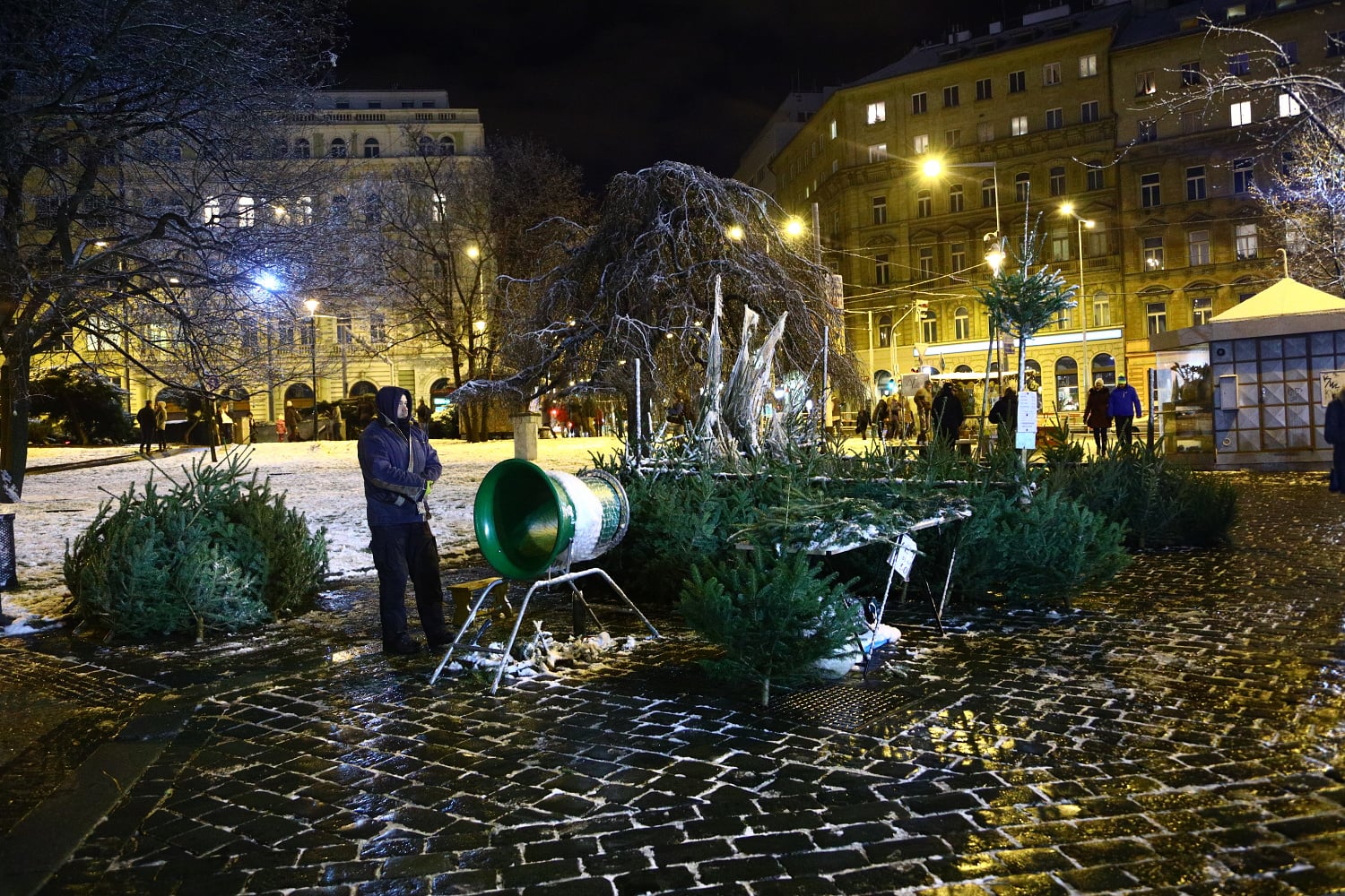 Prodej vánočních stromů 2017