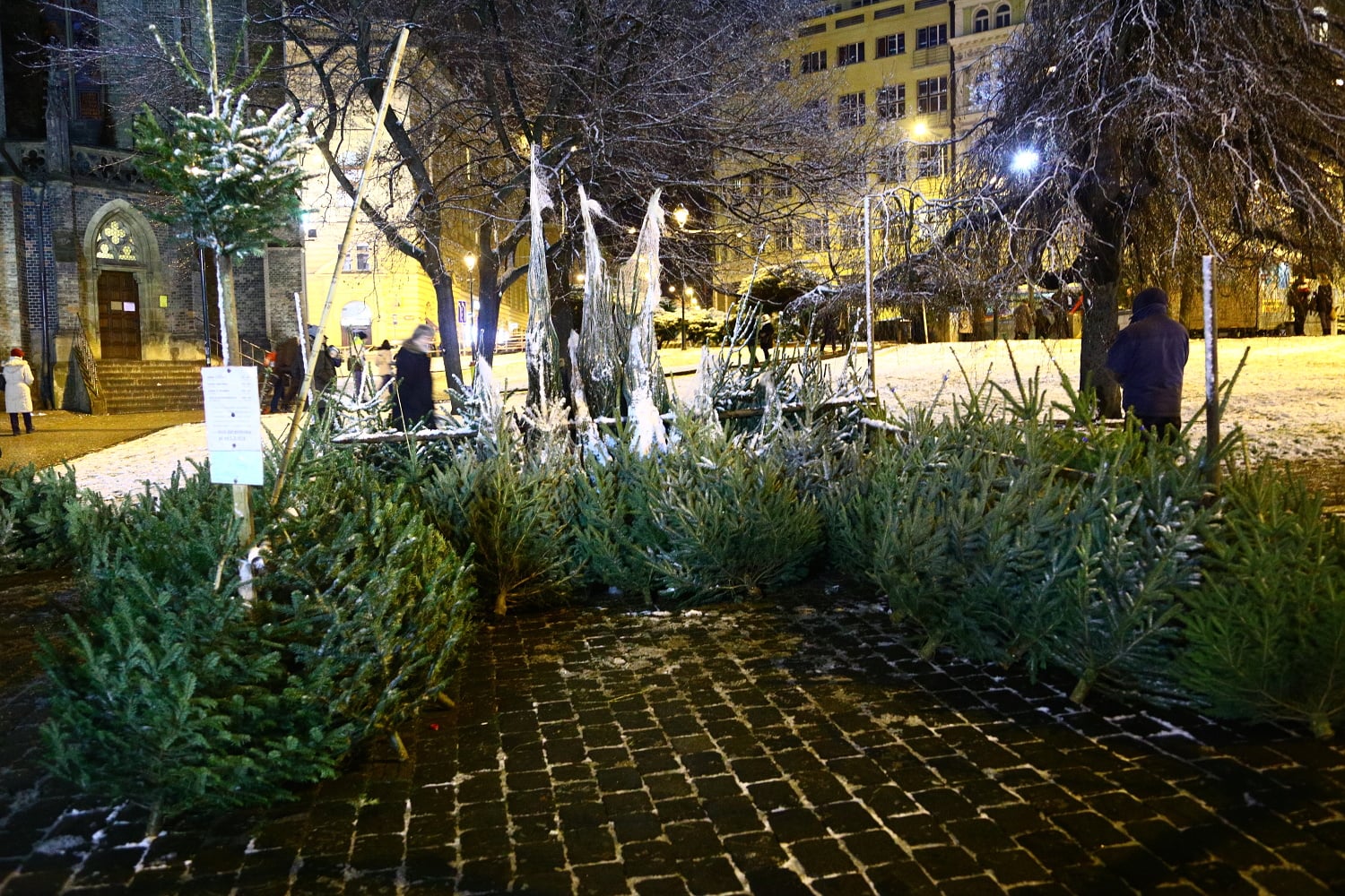 Prodej vánočních stromů 2017